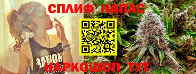 индика Тула