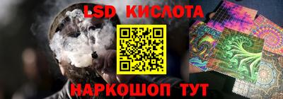 индика Тула
