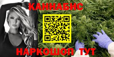 индика Тула