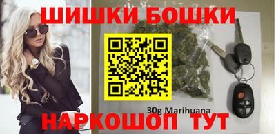 индика Тула