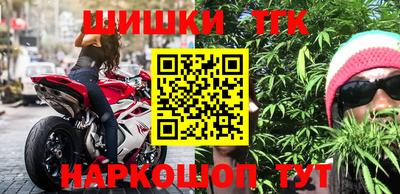 индика Тула