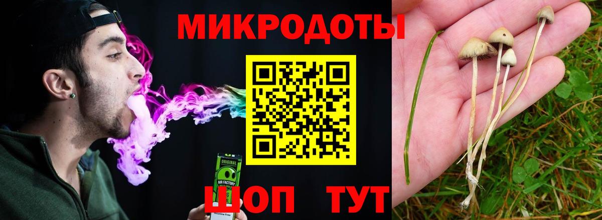 Галлюциногенные грибы Psilocybine cubensis Ликино-Дулёво